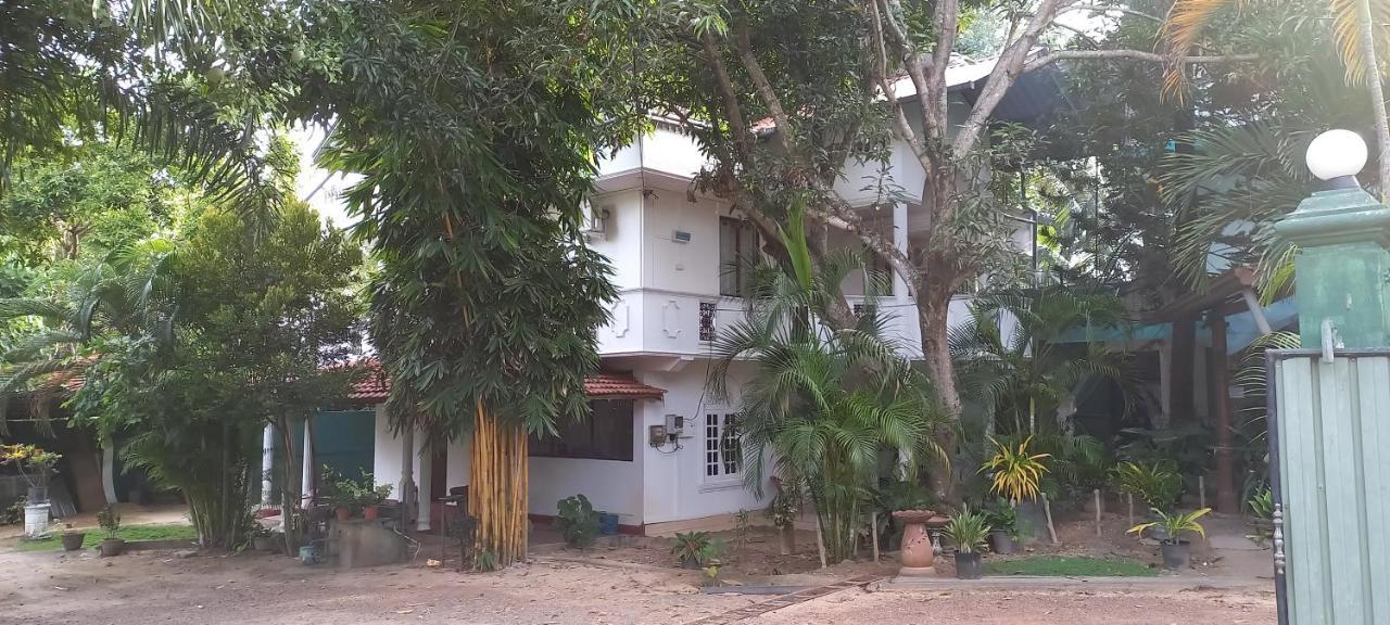 Katunayaka Shady Transit Hotel מראה חיצוני תמונה
